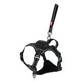 Zolux - Geschirr und Leine mit integriertem Aufrollmechanismus M schwarz für Hunde max. 33 kg