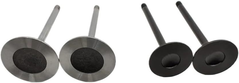 B 4-TEC RXP RXT 185 215 255 260 300 INTAKE VALVE UPDATE SET Fit For 420254682 420254293 420254298