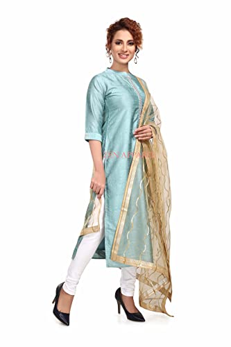 Image of ZEN APPAREL Women's Embroidered Net Dupatta with Lace Borders (Z-101) Premium Net Fabric Golden Aari Work