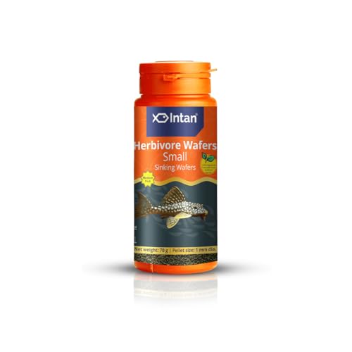 Image of Intan Herbivore Wafers (Small 1mm Sinking) | 70gm - Highly Nutritious Ornamental Fish Food for Herbivorous Fish - Mollies, Mbunas & Plecos | Growel Feeds