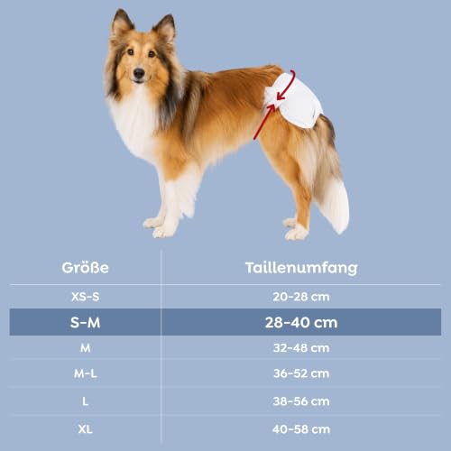 TRIXIE Hundewindeln für Hündinnen Gr. S–M, 12 St., 28–40 cm Taillenumfang