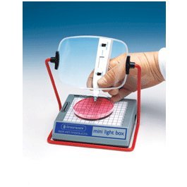 Amazon.com: bel-art Productos h37864 – 0301 – Adaptador Mini caja de luz :  Industrial y Científico