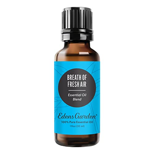 Image of Edens Garden Breath of Fresh Air 100% Pure Essential Oil Blend 30 ml (1 oz)
