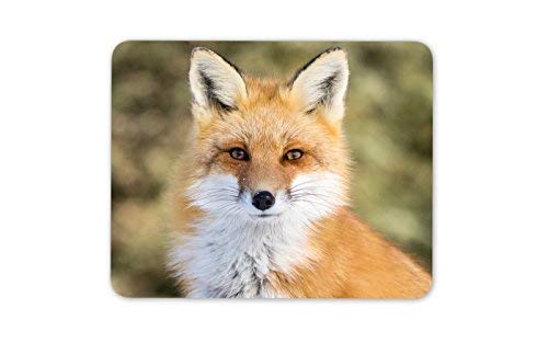 Destination Vinyl LtdBeautiful Ginger Fox Mouse Mat Pad - Wild Animal Cub Mum Gift PC Computer #8323