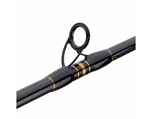 Amazon.com: Pure Fishing Brands: PENN Spinning Rods Amazon.com: Pure Fishing Brands: PENN Spinning Rods