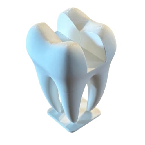 Porta Cartão De Visita Dente Molar Dentistas Odontologia