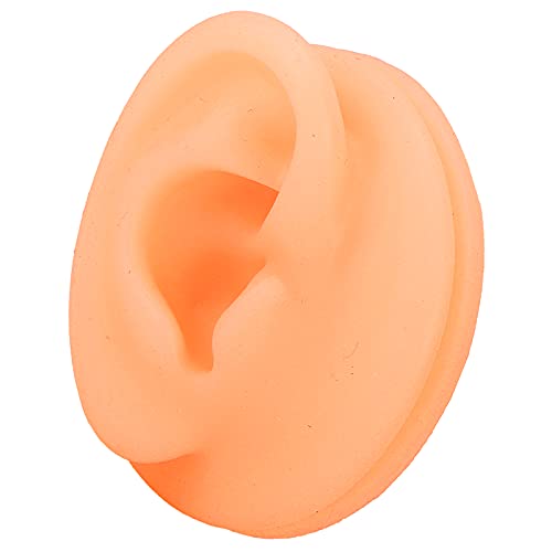 Human Ear Model, Silicone Material Fake Ear Model Flexible Soft for Teaching Demonstration Etc(Right Ear)