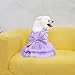 Baoblaze Cat Dog Dress Dog Clothes Outfit Party Clothes Stylish Pet Supplies Summer Breathable Comfortable Princess Dress Pet Apparel, XXL