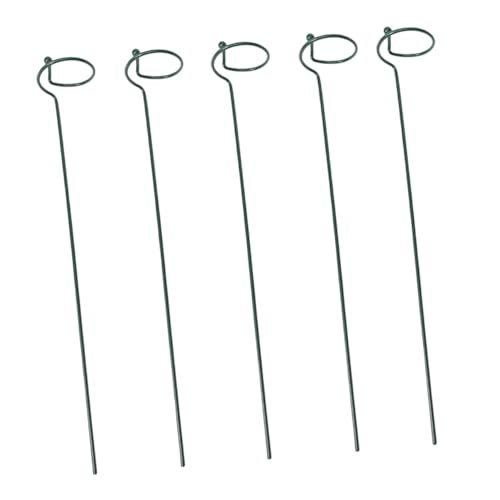 Abaodam 5 Ԕxt[ ANC~OT|[g 炩Ȏdグ A̐艻 K[fjO XbVȎx