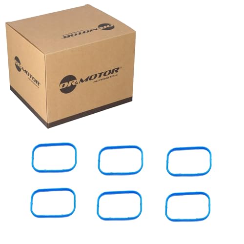 DR.MOTOR AUTOMOTIVE DRM01954S Kit de joints de collecteur d'admission Compatible avec JEEP GRAND CHEROKEE IV WK, WK2, DODGE Durango WD, FIAT Freemont 345
