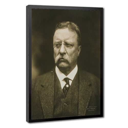 Poster Theodore Roosevelt 50x75 cm impression sur toile avec cadre suspendu