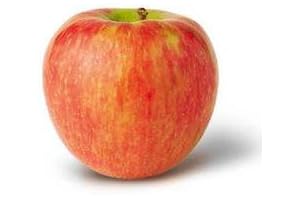 Honey Crisp Apples - A Bag of Sweet and Crisp Goodness