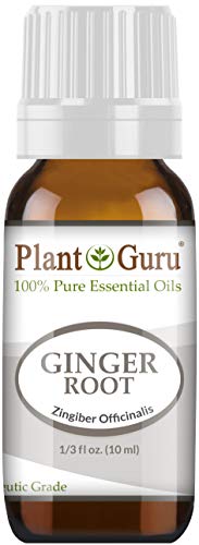 Fresh Ginger (Root) Essential Oil 10 ml 100% Pure Undiluted Therapeutic Grade for Skin, Body and Hair Growth. Perfect for DYI Soap Making and Aromatherapy Diffuser.
