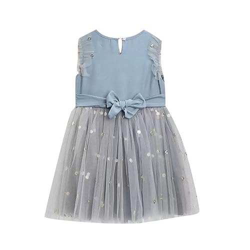 Image of Hopscotch Girls Maxi Ruffle Embellished Sleeveless Party Dress
