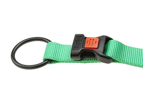 Karlie Art Sportiv Plus Halsband verstellbar neue universal Farben Mix and Match L: 55 - 75 cm B: 40 mm XL mint