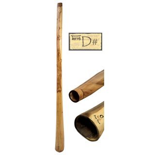 TerreDidgeridoo Eucalyptus Proline, incl Bag 59-63 inch … (Tone Dis)