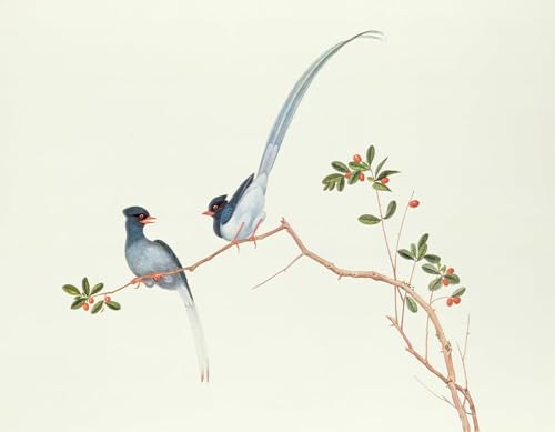 Pintura mural SERENDIPITP de urracas de la dinastía Qing para hogar, 60x90cm