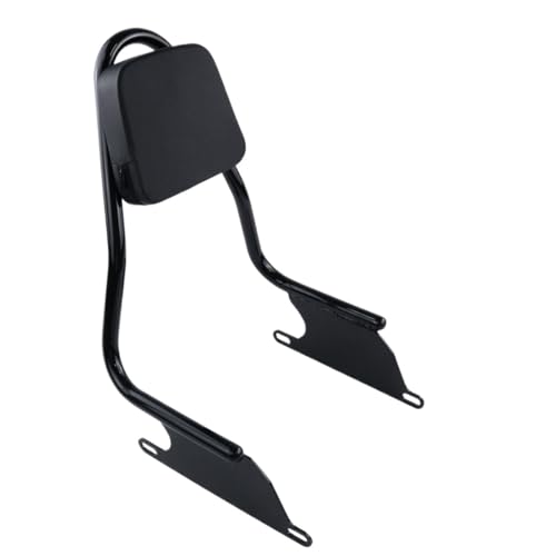 Dossier passager moto en acier inoxydable pour BMW R18 R18B 2021-2024