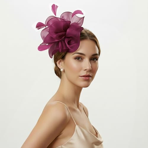 Image of DRESHOW Fascinators Hat Tea Party Headwear Ribbons Feathers on a Headband and a Clip for Women