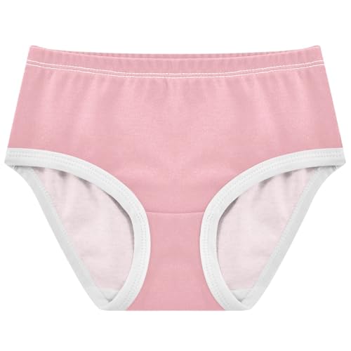 Joisal Toddler Girls Underwear 2t Cotton Panties Little Girl Flower Briefs Underpants Blush Pink Shell Gradient