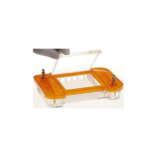 EZBiolab E201-3 EZ-Agarose Mini Gel Cassette, 10 Wells, 1.0% Agarose, TBE Buffer, DNA Green Dye (Pack of 10)