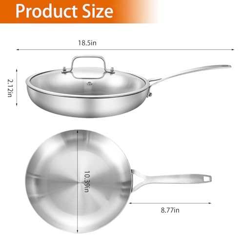 Image of DELARLO Tri-Ply Stainless Steel Frying Pan 10 inch With Lid Kitchen Skillet | Stainless Steel Pan Cooking Heat fast and evenly Compatible with All Cooktops Dishwasher and Oven Safe