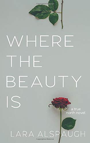 Remember Me: A Second Chance Women's Fiction Love Story (The True North Duet Book 1)