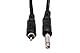 Hosa CPR-110, Unbalanced Interconnect, 1/4 in TS to RCA, 10 ft