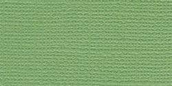 Bazzill Cardstock 12X12 - Guacamole/Grass Cloth