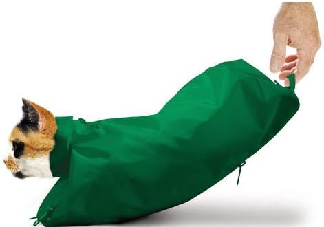 The Cat Sack Xl Green W/rear Underside Zipper