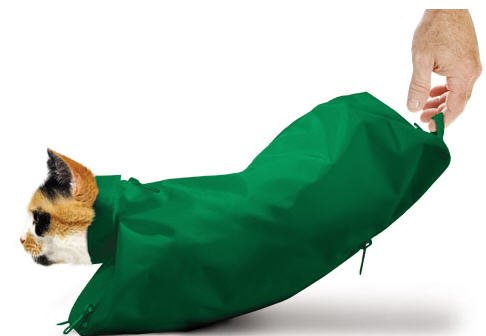 The Cat Sack Xl Green W/Rear Underside Zipper #TOP1