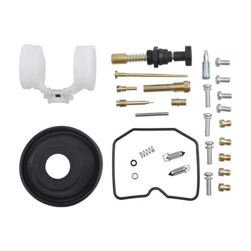 Kit réparation carburateur KLX250 pour résoudre les fuites d'essence de moto