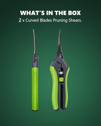 6.5" Pruning Shears for Gardening, Sharp Plant Trimming Scissors for Precise Cuts, Stainless Steel Garden Scissors Bonsai Clippers (2-Pack Curved)