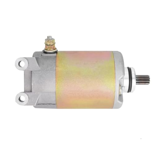 SOYTZBMK Accesorios de Arranque Motor De Arranque De Motocicleta De Repuesto 0110-093000 ATV Quad Sports Dune Buggy Go Kart para CF Moto V3 Auto 250 2007-2011 2010 2009 2008