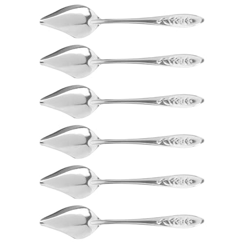 Kisangel Cuillères Multifonctions Résistantes Rouille en Acier Inoxydable Lot de 6 pour Perroquets et Oiseaux Domestiques, pour Maison ou Animalerie