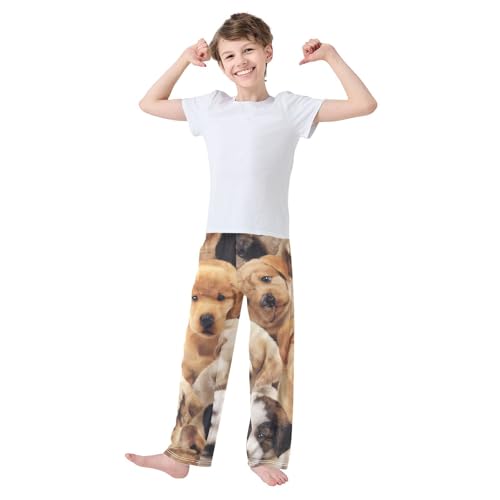 ZZXXB Cute Puppy Dogs Boys Long Pants Soft Trousers Elastic Waist Kids Lounge Bottoms with Pockets S-XL3