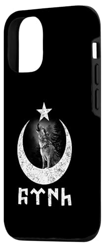 Türk Göktürk Schrift Hilal & Yildiz & Bozkurt Design Hülle für iPhone 12/12 Pro