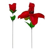 TIENDA EURASIA – Rosa con Tanga | Color Rojo | Talla Única | Material 100% poliéster | Longitud de la Rosa Cerrada 45 cm | se Convierte en un Bonito Tanga de Encaje