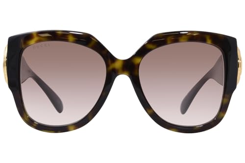 Gucci GG1407S Havana/Brown Shaded 54/19/140 women Sunglasses2