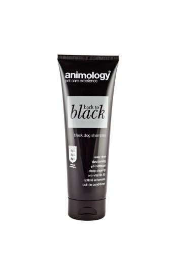 Animology Back to Black Shampoo, 250ml