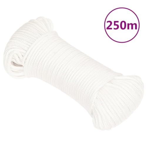 vidaXL Bootsseil Ankerleine Festmacher Tauwerk PP Leine Seil Tau Polypropylenseil Geflochten Flechtleine Wei&szlig; 3mm 250m Polypropylen