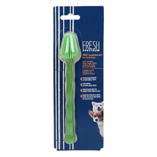 犬用歯ブラシ | 長柄ペットグルーミング用品,小型猫用歯磨きブラシ | グルーミング、ブラッシング、メンテナンス、ケア、健康、衛生、ルーティン、日常、家庭、旅行用