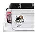 QQYYYT Adesivi Auto 22 Cm Adesivo per Cani Decorazioni per Auto Adesivo per Auto Adesivo Beagle Adesivo Beagle Decorazioni per Beagle Beagle Adesivo per Auto Beagle