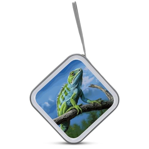 Étui de rangement CD DVD fermeture éclair 40 compartiments plastique vert lézard
