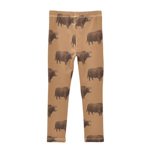Girls' Leggings Highland Cow Ox Brown Kids Yoga Tights Pants 1 Pack 23017562