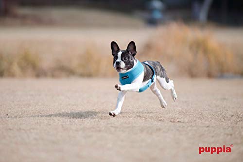 Puppia Hundegeschirr für kleine und mittelgroße Hunde - super weich in vielen Farben - Auch als Welpengeschirr verwendbar -Antizuggeschirr für Hunde, Schwarz, M
