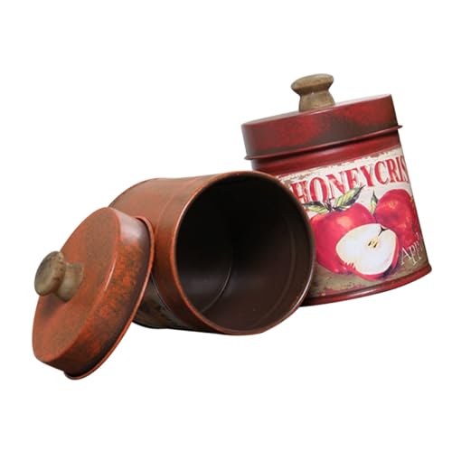 Yardenfun 2 Pièces Seau Vintage Petit Pot Créatif pour Fleurs et Plantes Dintérieur Rangement Pratique et Décoratif pour Bureau et Maison Empilable et Style Rétro