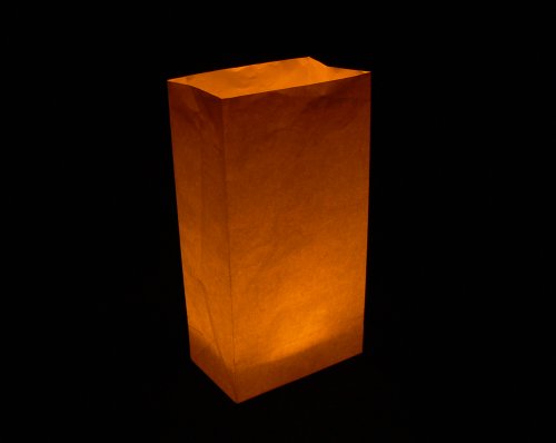 Fortune Products Ll-8A Luminary Light, 2 3/4" Length, 1 1/2" Width, 3/4" Height, 8 Leds, Amber Leds With Black Base #TOP6