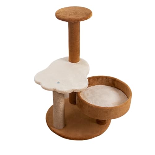 LpNC~Ot[ ܂Ƃ T{e Wv ܂Ƃ{[h ybgp Lpxbh (킢܂Ă)