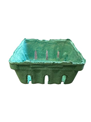 Half Pint Green Fiber Fruit Berry Pulp Basket Container for Blueberries Strawberry Tomatoes and Produce 1/2 Pint Basket For Berries and Crafting (48)